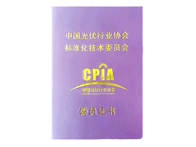 中國光伏行業(yè)協(xié)會(huì)標(biāo)準(zhǔn)化技術(shù)委員會(huì)