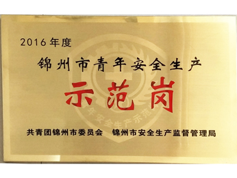 2016年度錦州市青年安全生産示範(fàn)場 