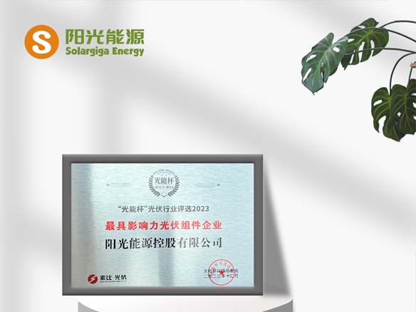 高光時(shí)刻 | 陽(yáng)光能源榮獲光能杯“最具影響力光伏組件企業(yè)”稱(chēng)號(hào)